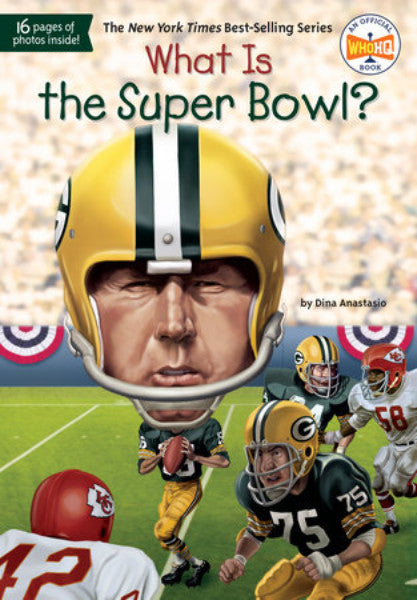 What Is the Super Bowl