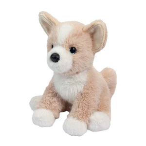 Pookie the Mini Soft Pomsky