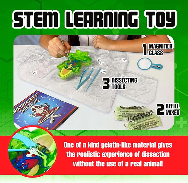 Dissect IT Super Frog Lab