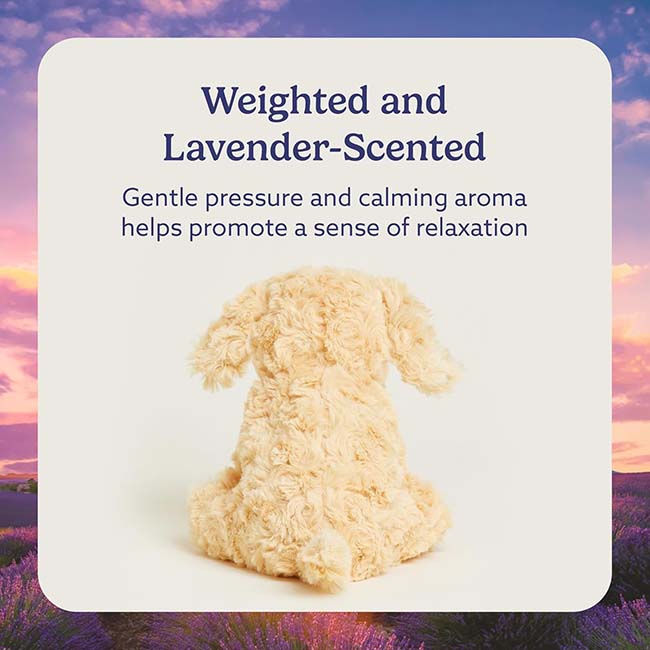 Golden Dog Warmie Junior