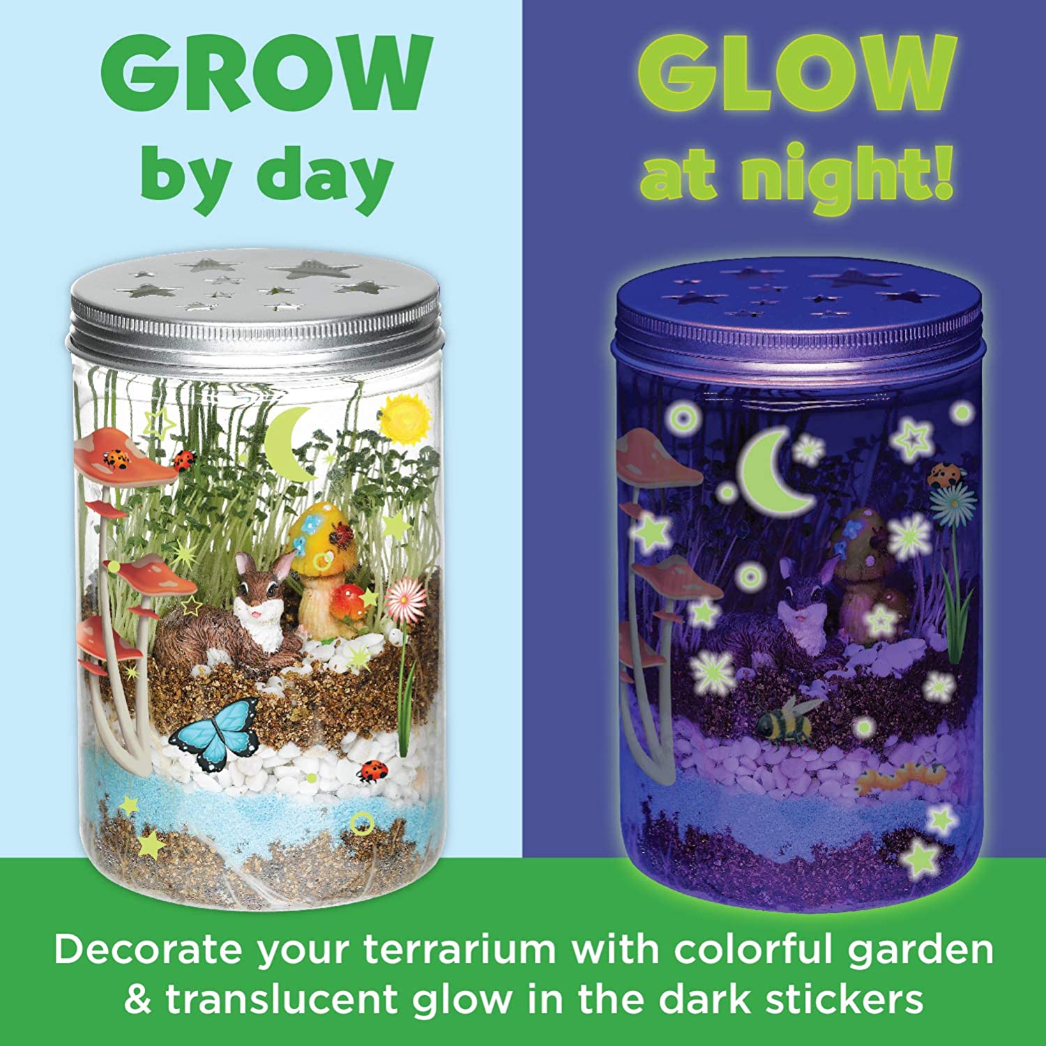 Grow N Glow Terrarium