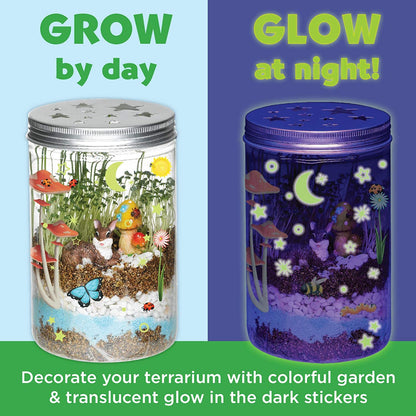 Grow N Glow Terrarium
