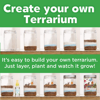 Grow N Glow Terrarium