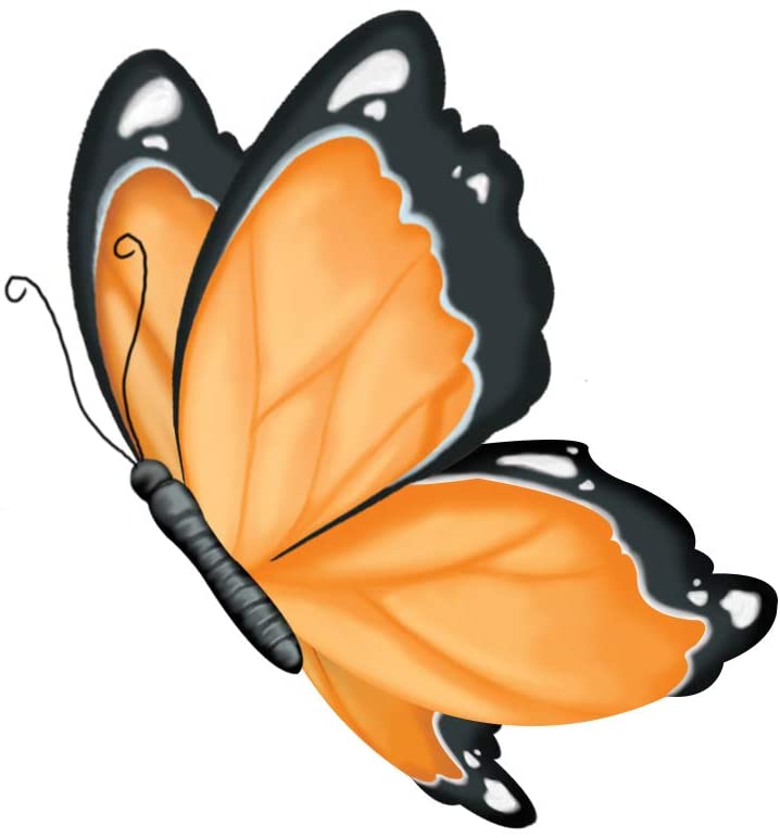 Grow N Glow Terrarium