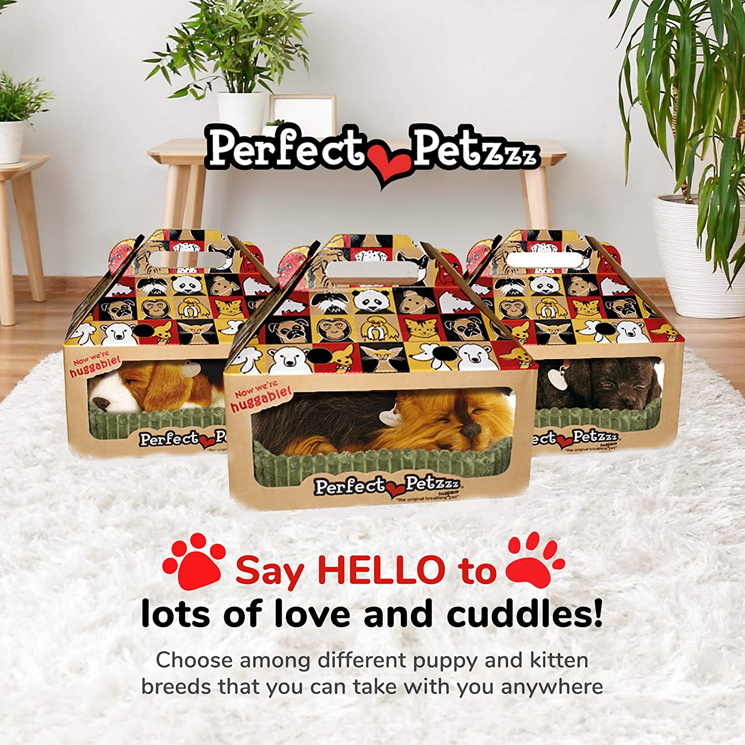 Perfect Petzzz Yorkie