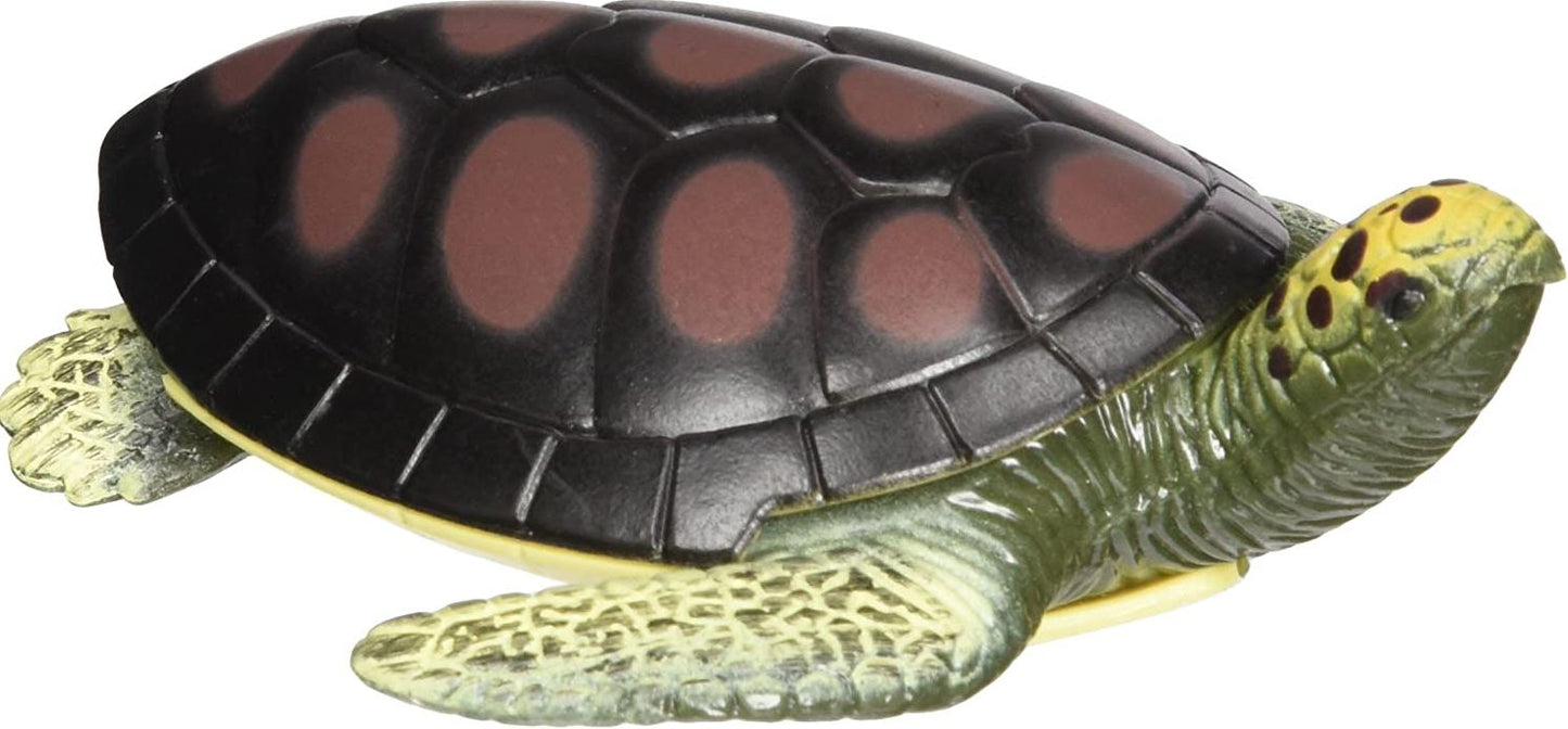 Turtle Squishimals18