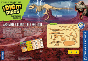 Giant Dinosaur Skeleton