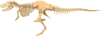 Giant Dinosaur Skeleton