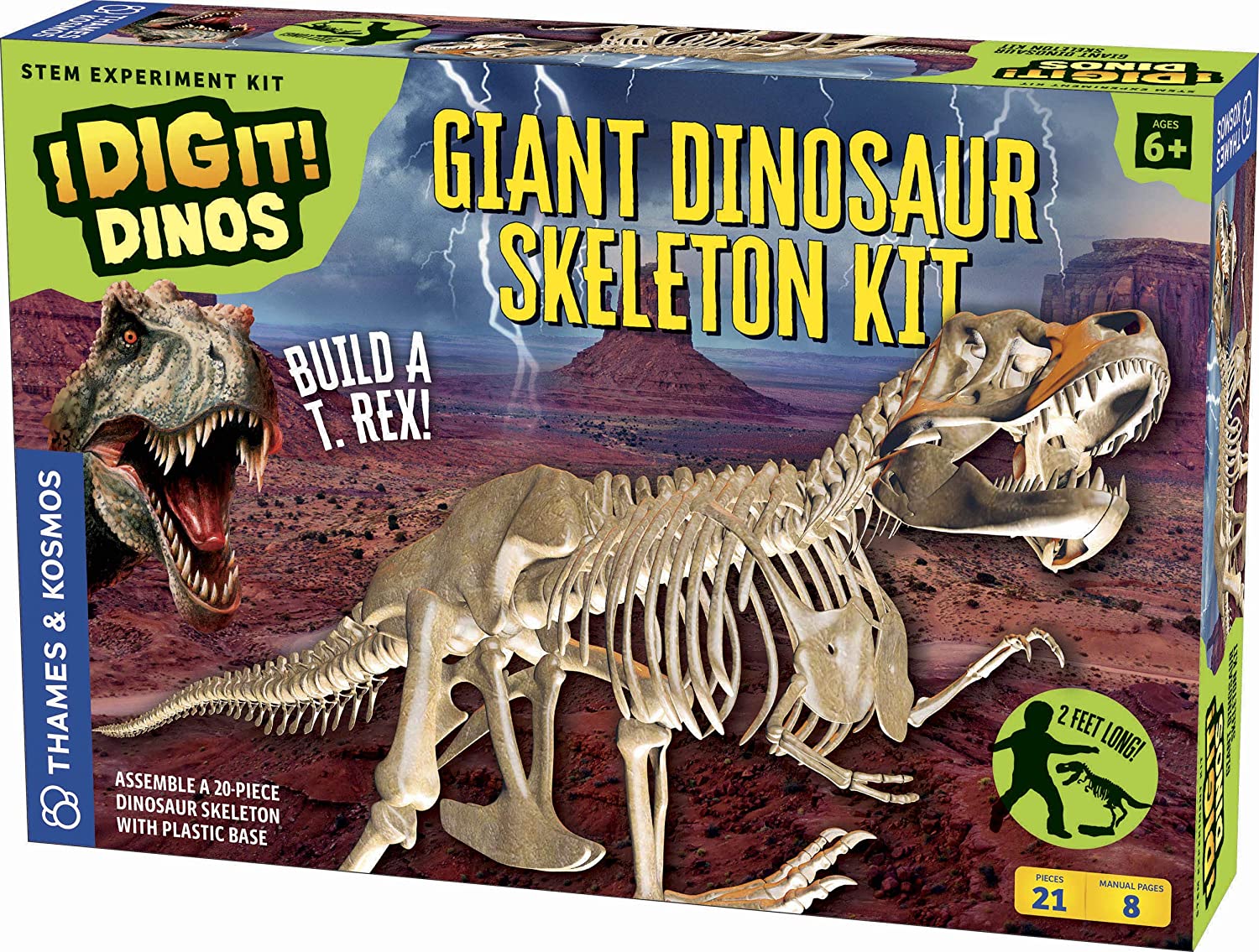 Giant Dinosaur Skeleton