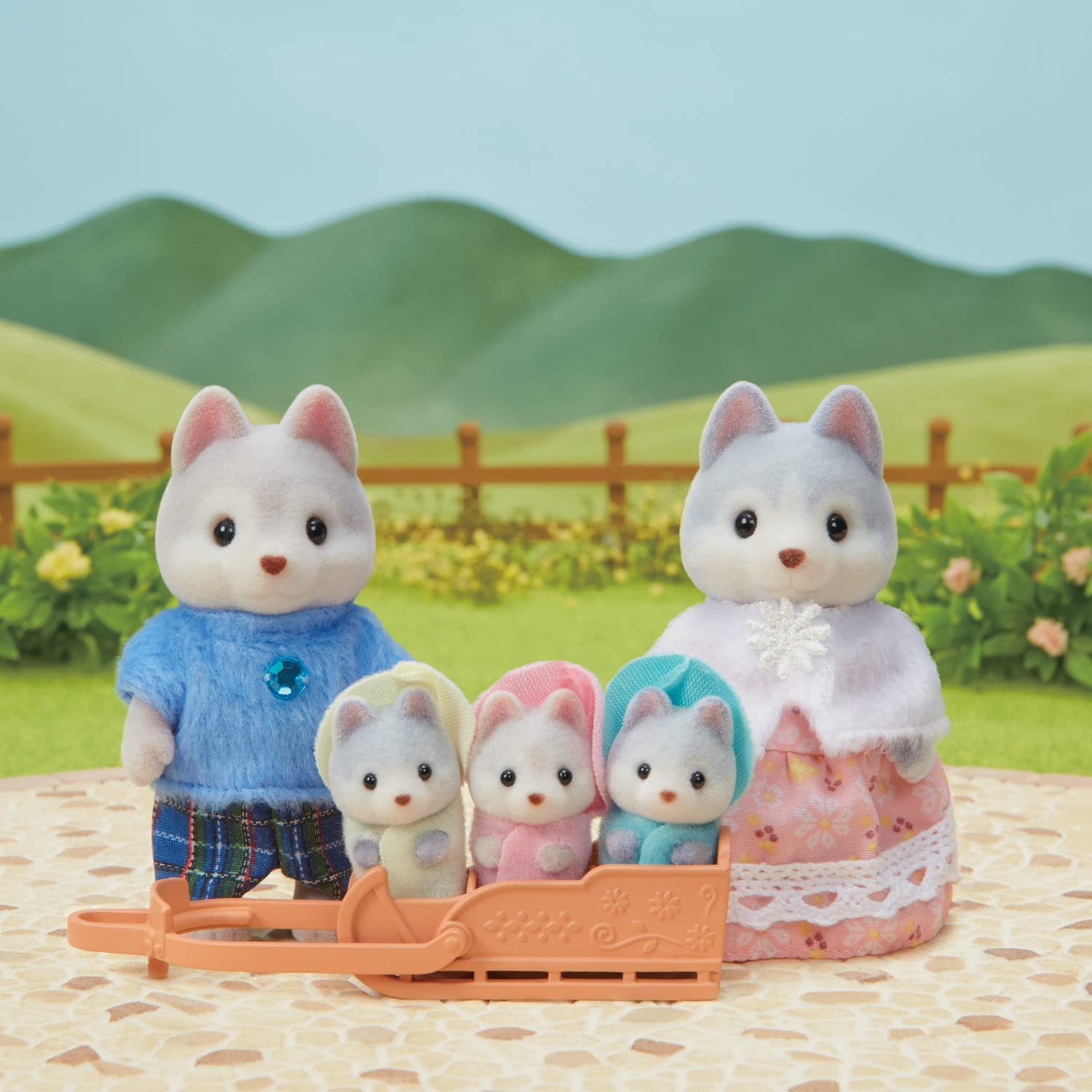 Cc Husky Family