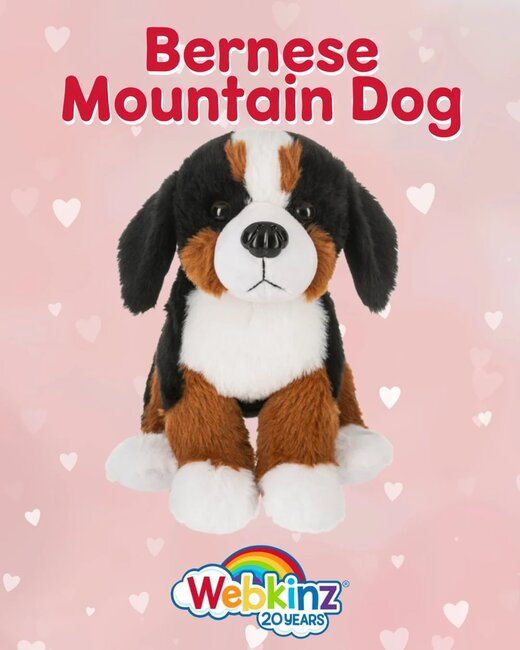 Webkinz Bernese Mountain Dog