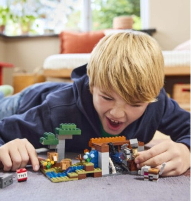 Minecraft: the Armadillo Mine Expedition