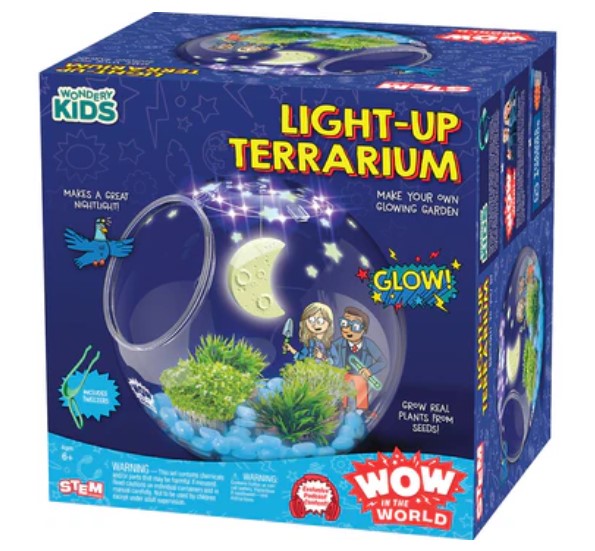 Ww Light-Up Terrarium