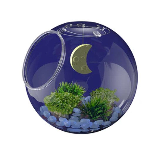 Ww Light-Up Terrarium