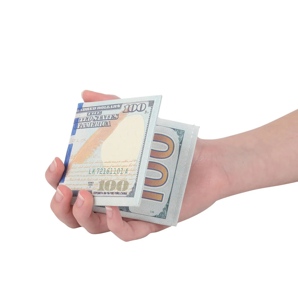 Dollar Bill Wallet